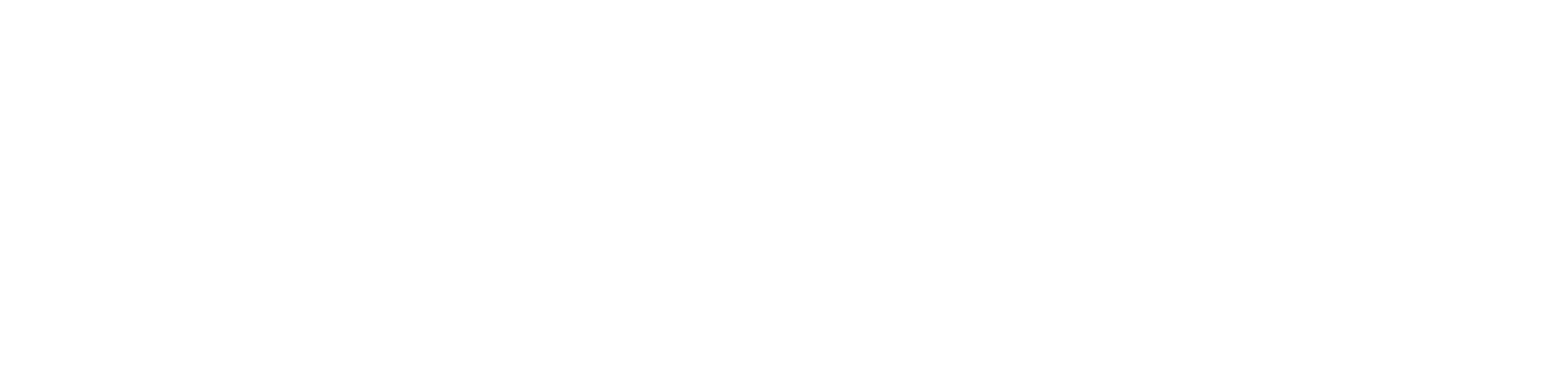 Soitz